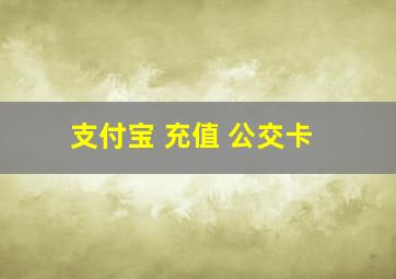 支付宝 充值 公交卡